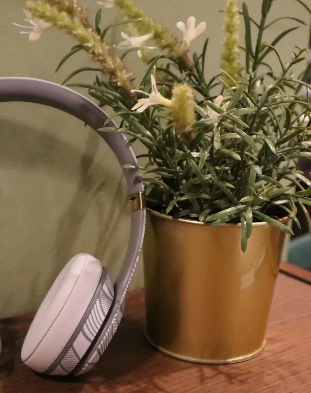 beatsstudio3wireless测评,beatssolo3wireless降噪测评