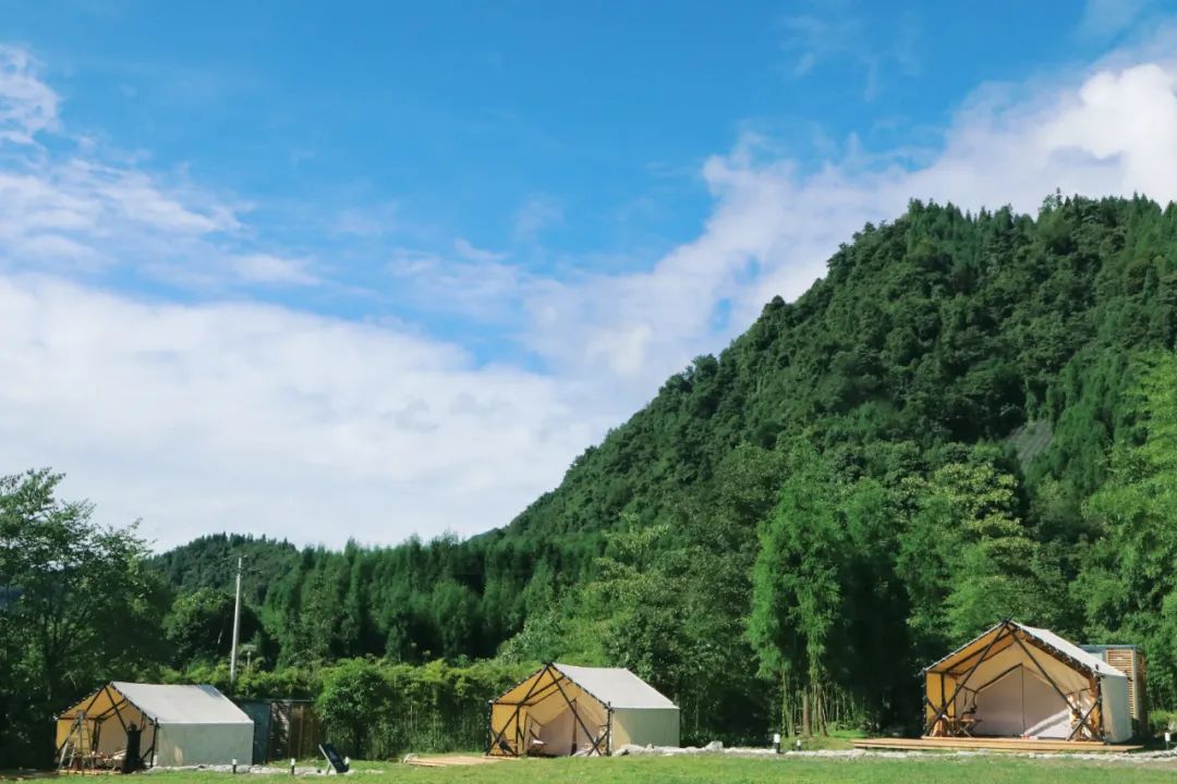 彭州太空舱营地,成都熊猫森林太空舱民宿