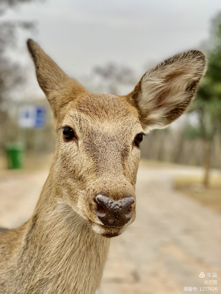 洛阳市宜阳凤凰岭射箭,宜阳县凤凰岭体育基地