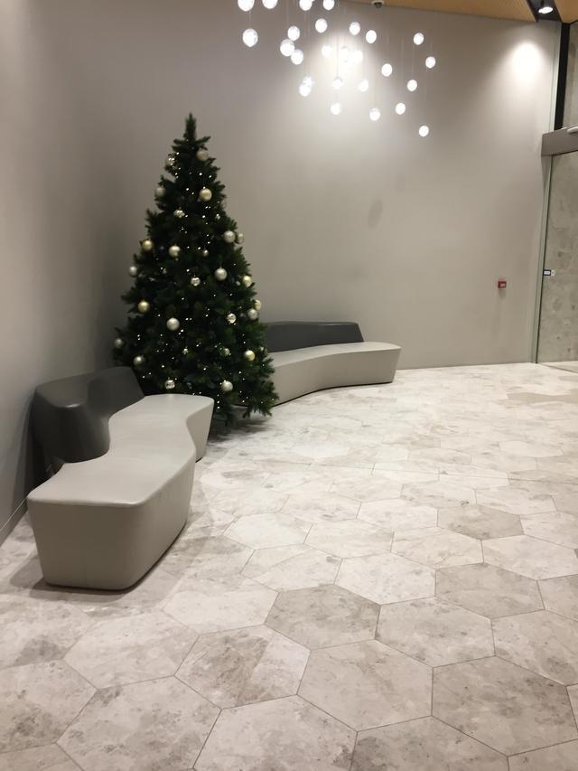 大龄单身女性怎么去澳洲,大龄如何来澳洲