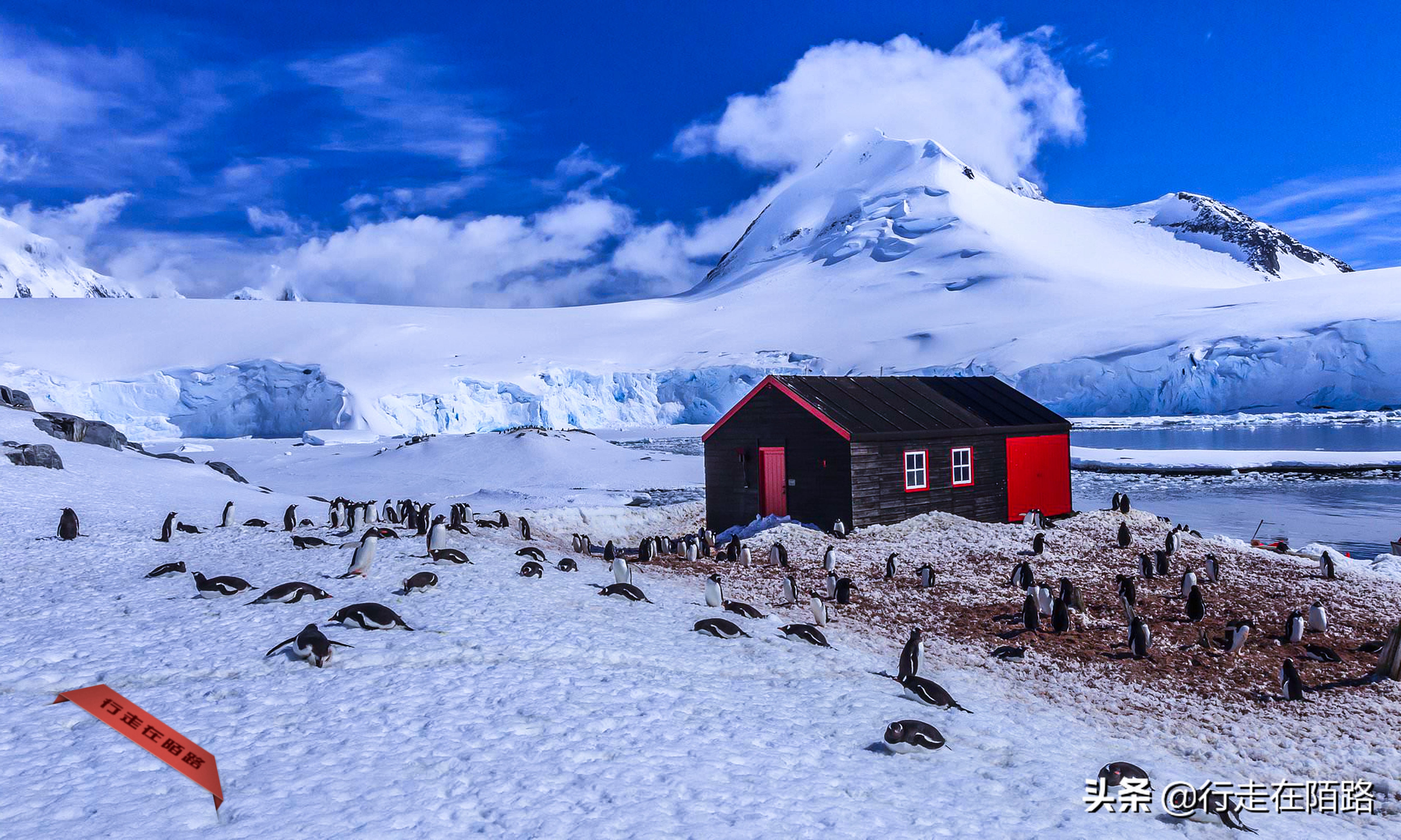 铲屎官的工资,铲屎官工资一天多少钱