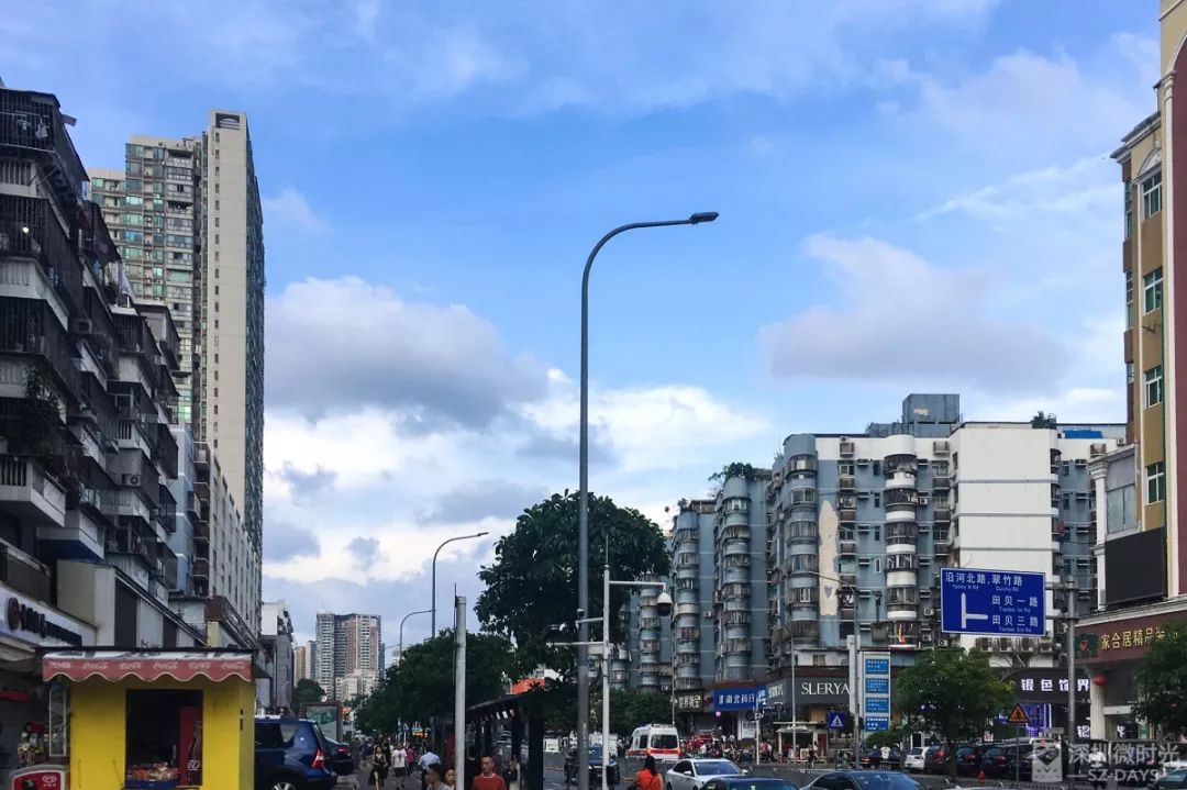 水贝十年,水贝10年