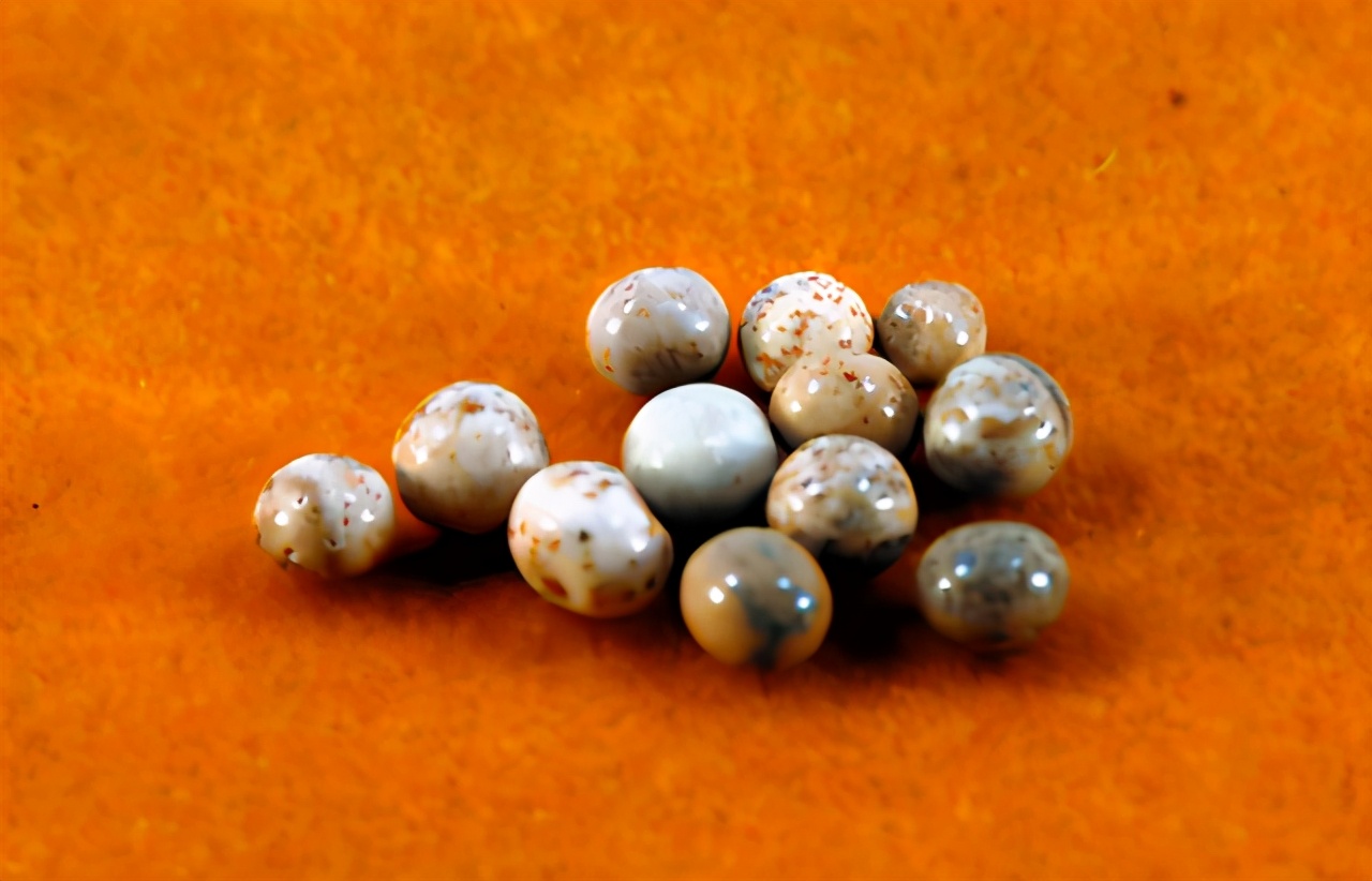 舍利子的科学解释,舍利子用科学角度看是什么东西