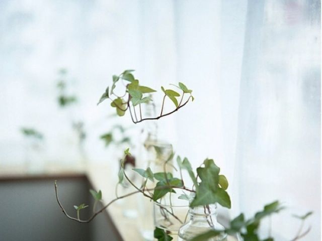 亮彩英雄榜靠谱吗,亮彩英雄排名