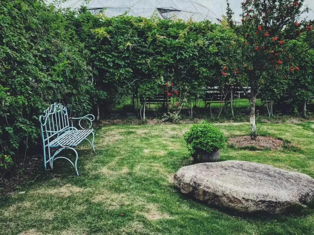 用低成本打造高颜值农场,广东夫妇超省钱