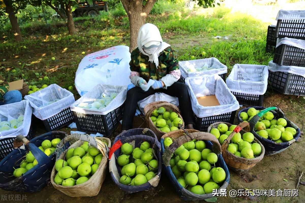 入秋必吃的水果,入秋后这5种时令水果放开了吃
