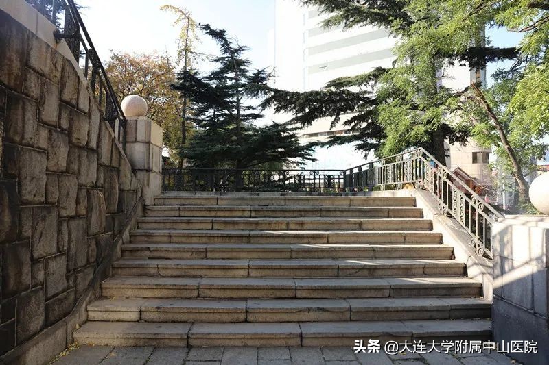 博古通今纵览,小编带你逛医院