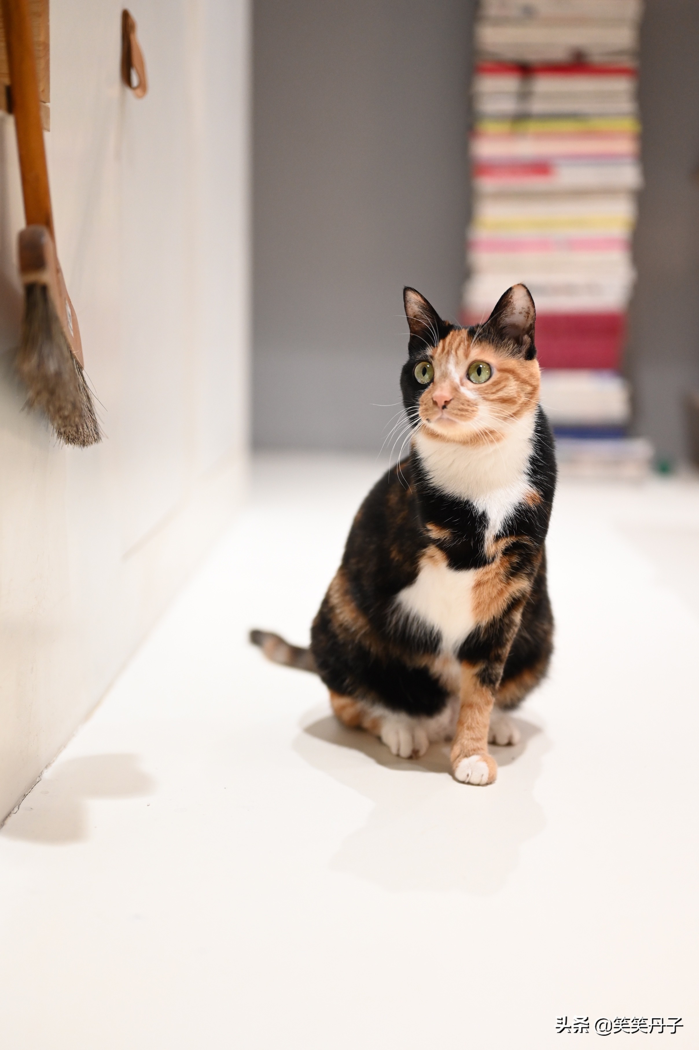 led射灯效果,客厅灯射灯2023最新款大气上档次