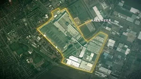 世界第一鲜花市场视频,bbc探秘墨西哥毒品战争