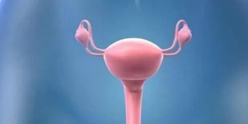 女性子宫畸形就不能怀孕了吗？并不是！有些还是可以怀上的