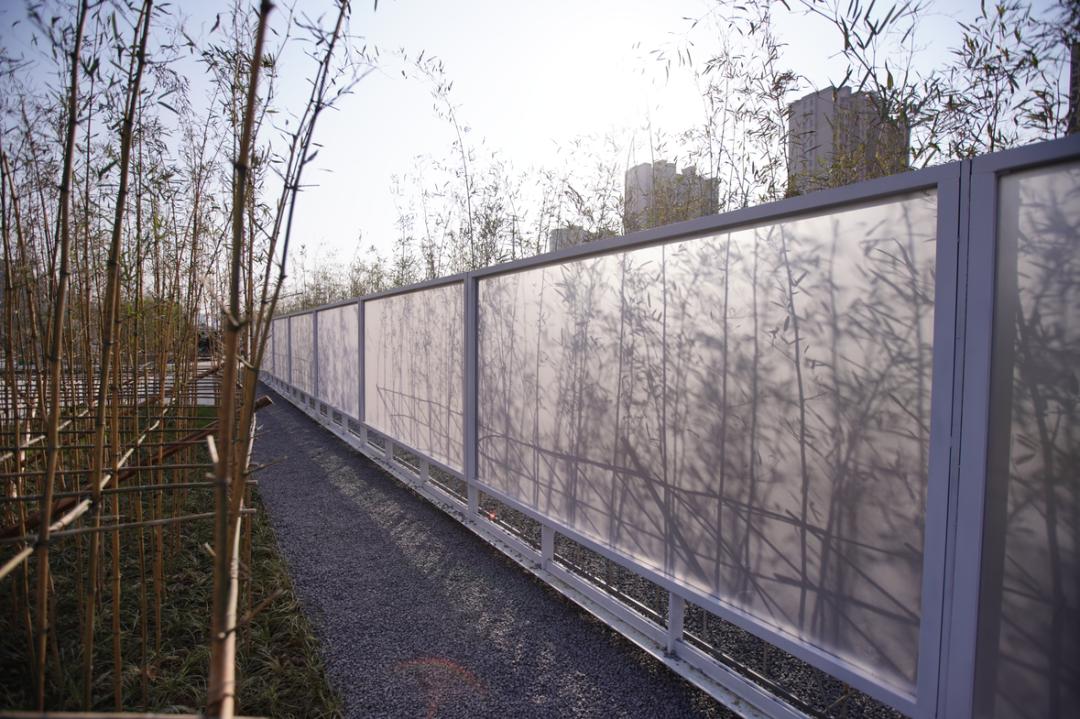 活力岛还会涨吗,活力岛活力环