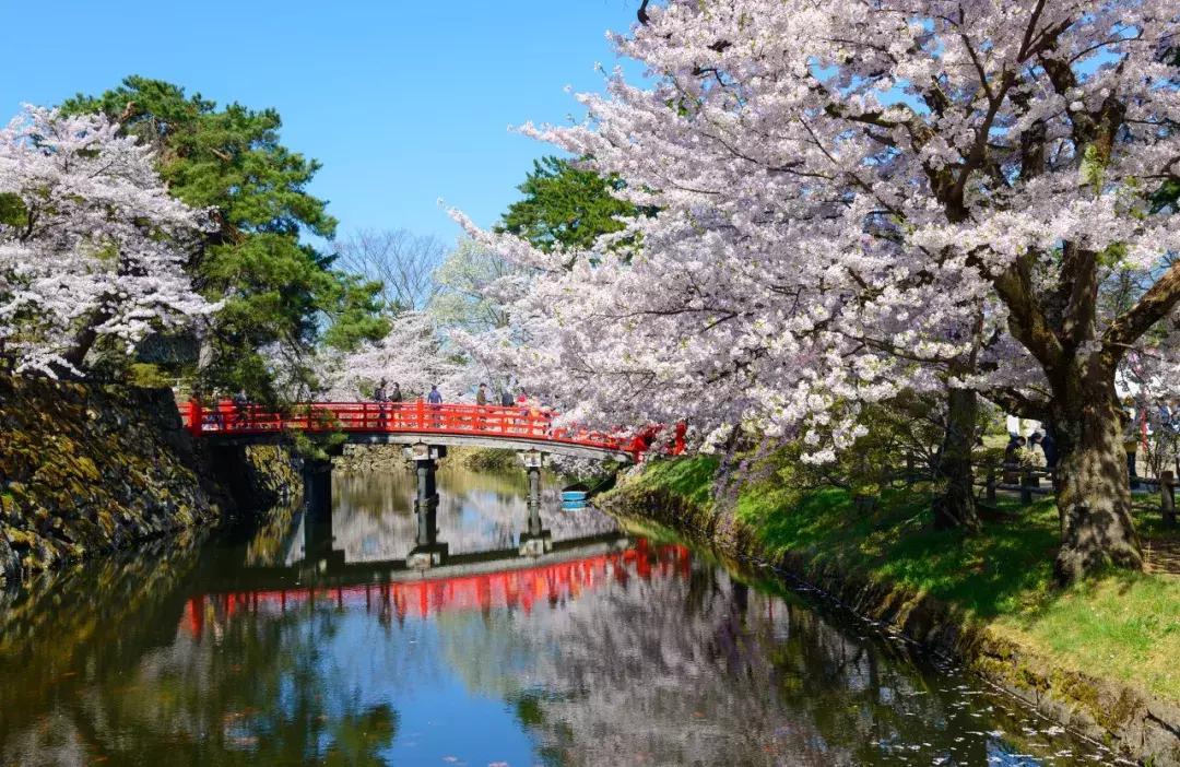 日本樱花季具体时间,日本樱花几月份去最好