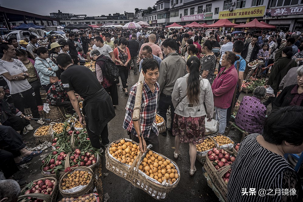 天府新区太平枇杷,成都太平枇杷批发市场