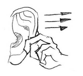 冬季减肥最有效的方法饮食,夏季减肥的19个饮食要点