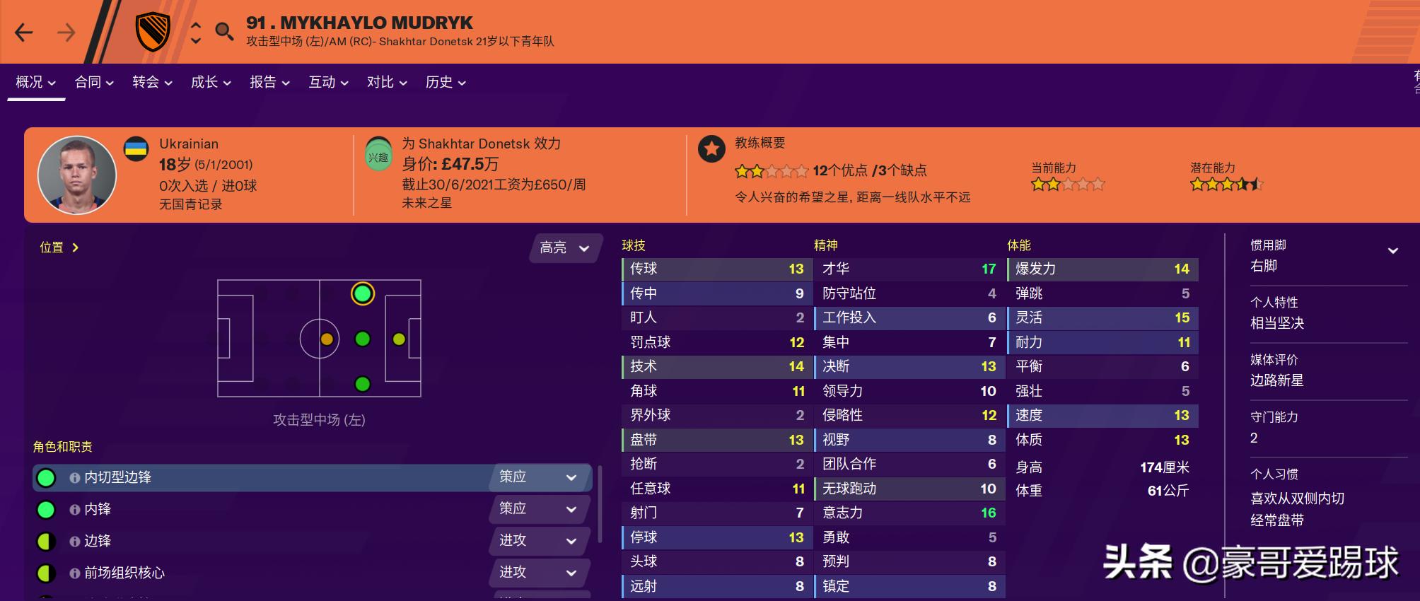 fm2020足球经理神阵,fm足球经理2024左边后卫妖人