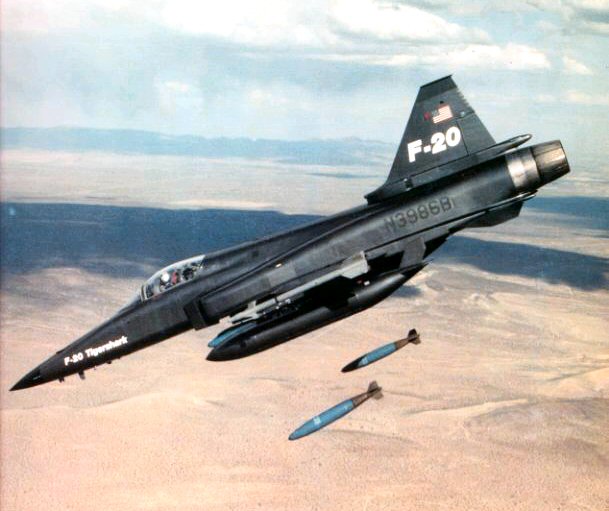 虎鲨悲剧,极富悲剧色彩的虎鲸