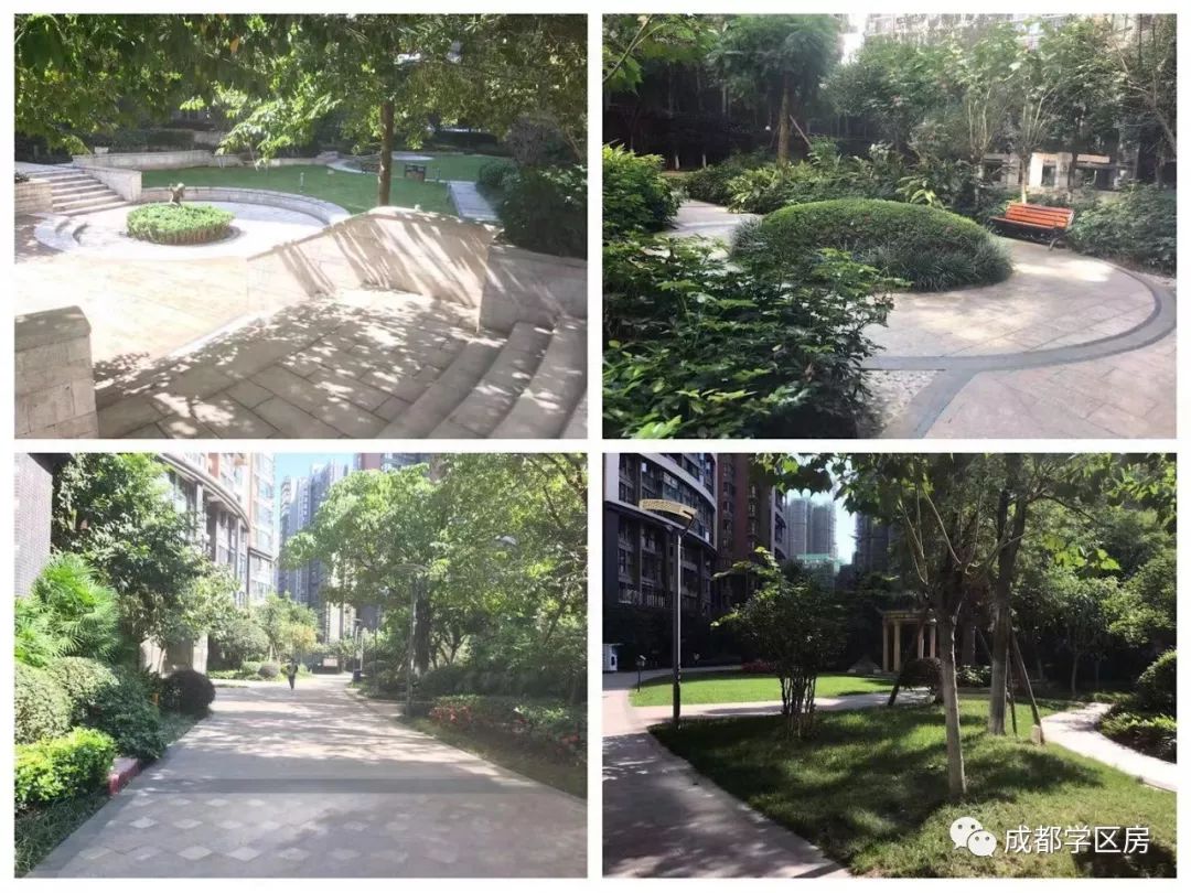 天府新区第五小学排名,天府新区a区学区房