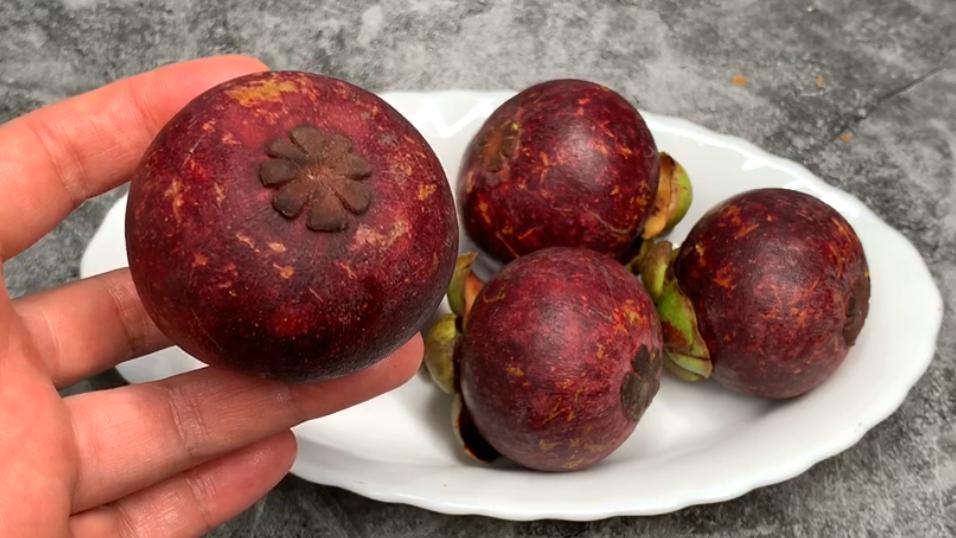 多核山竹怎么挑选,怎么挑多核山竹种子好