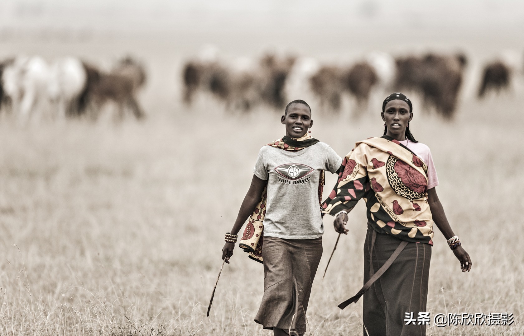 如果让你做一天上帝你会干什么,如果让你做一天菩萨你会怎么做