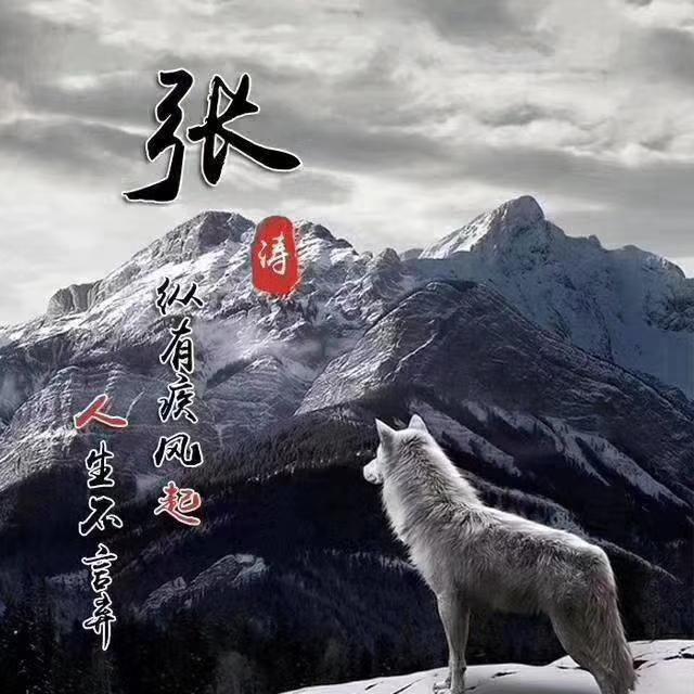 狼励志微信头像,狼的微信头像励志