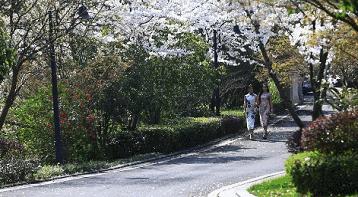 香格里拉经典风景,香格里拉自然风景