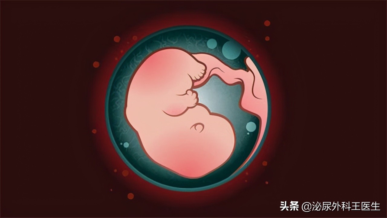 性病“梅毒”是如何横扫世界?