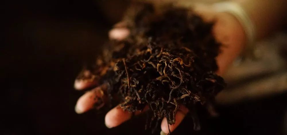 茶事情韵鉴茶,茶事发展与茶文化的形成