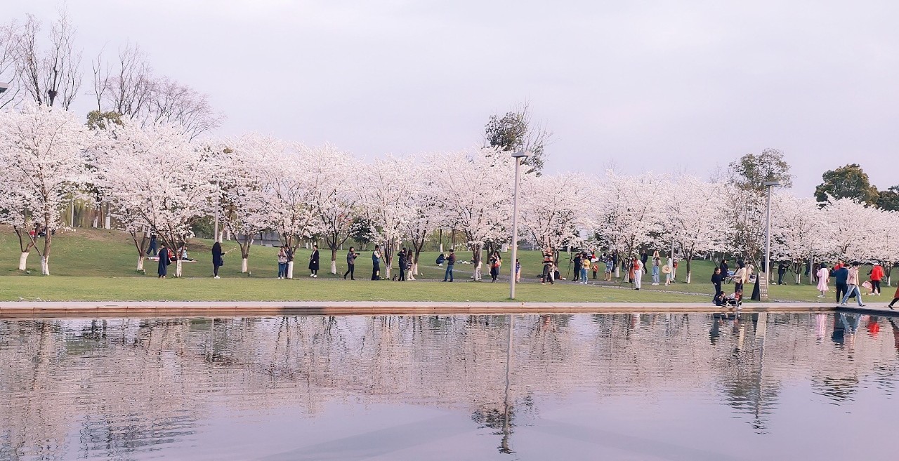 这是高晓松送给杭州的礼物,实名羡慕杭州市民!