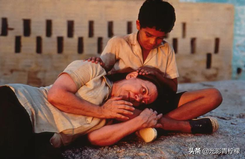 亲情和良知,亲情的根本是良知和利益