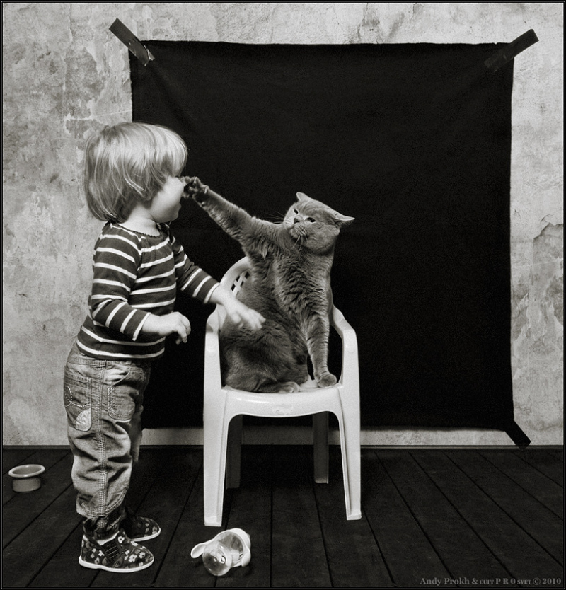 老歌英文歌曲mylove,mylove英文歌曲完整版