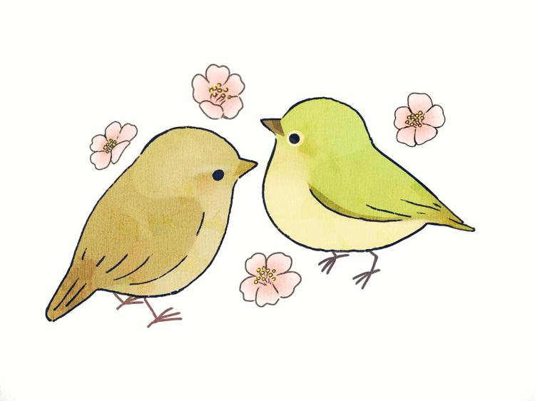 日本插画师hontoku的所有作品,ayu原创