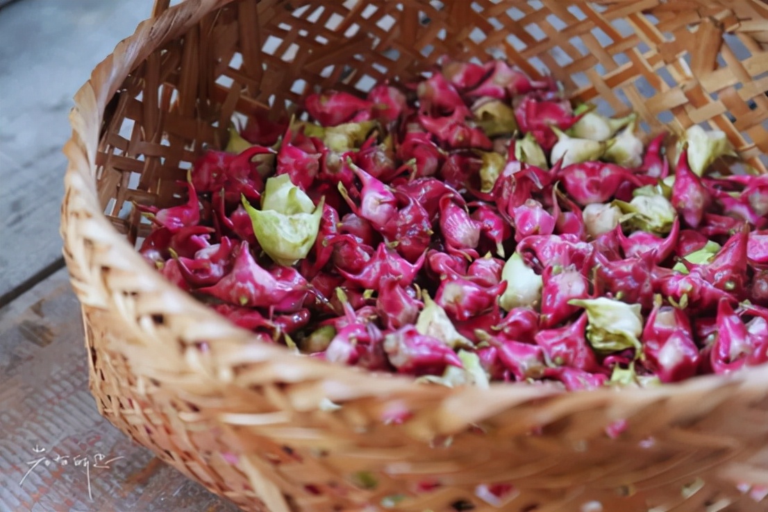 水八仙都有哪些,苏州可以使用的水八仙