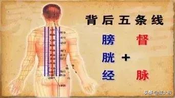养生背薄一寸,背厚按哪个穴位变薄