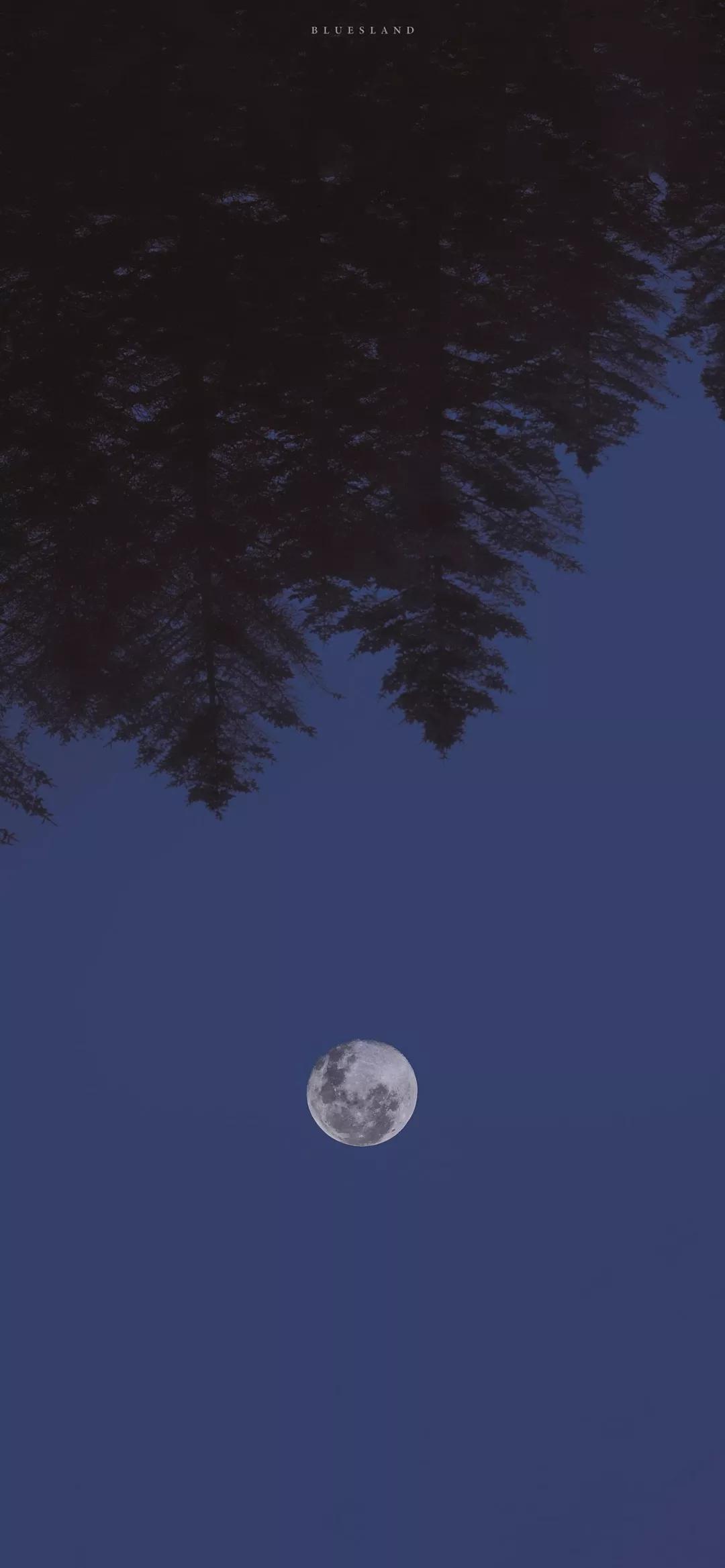 高清iphone壁纸动漫,iphone原生壁纸高清官方