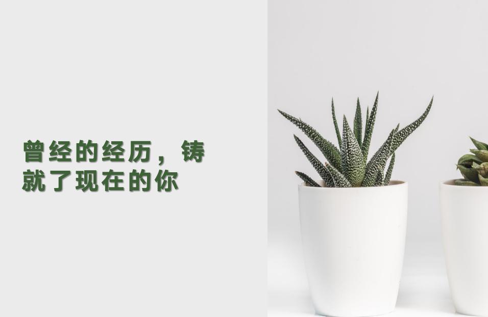 如何做到月入过万,如何能月入过万