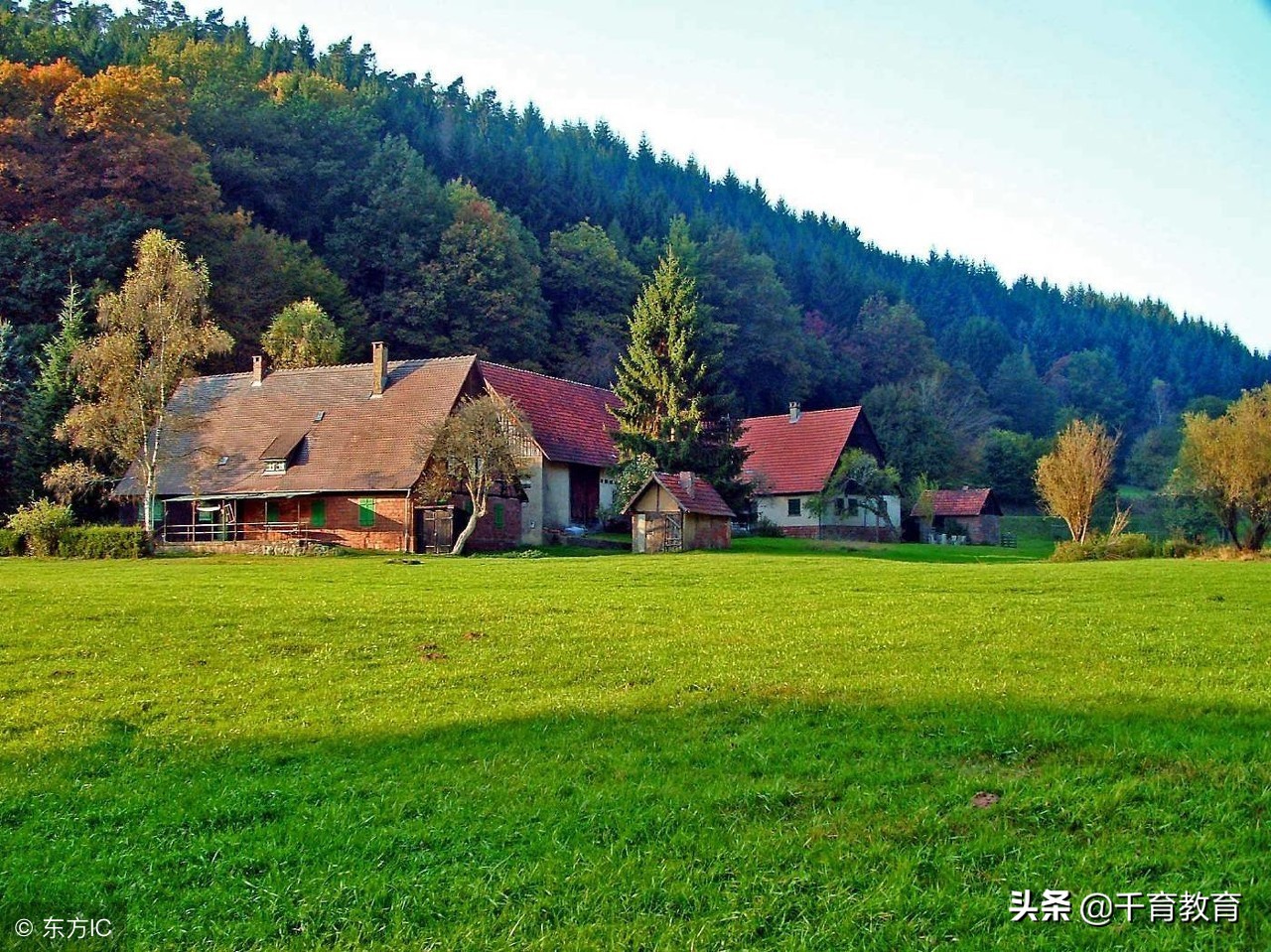 瀹堕暱璇惧爞甯哥敤鑻辫鍙ュ瓙,瀹堕暱灏忓璇枃鐭ヨ瘑褰掔撼