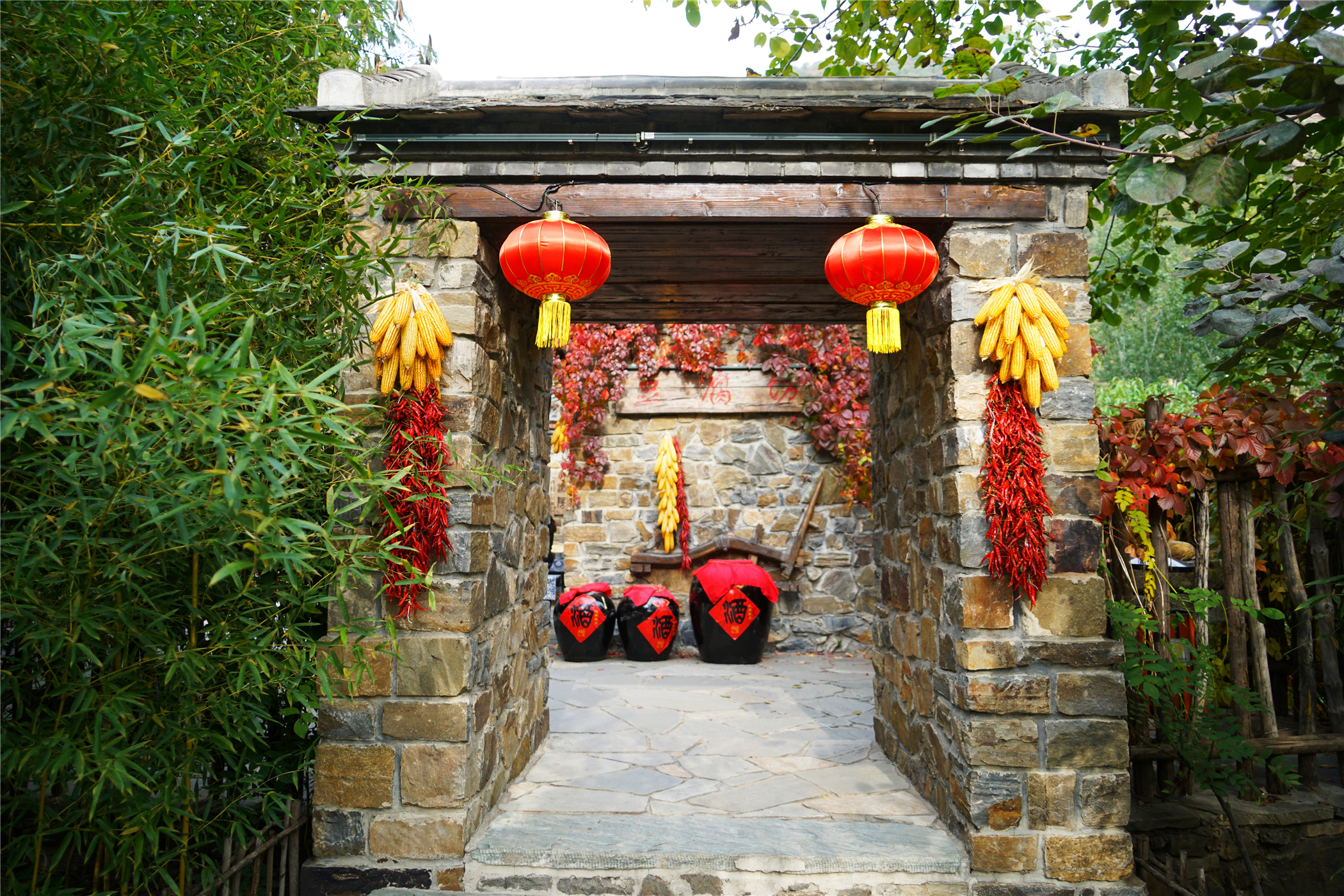 赏红叶最佳目的地,房山坡峰岭红叶最佳观赏