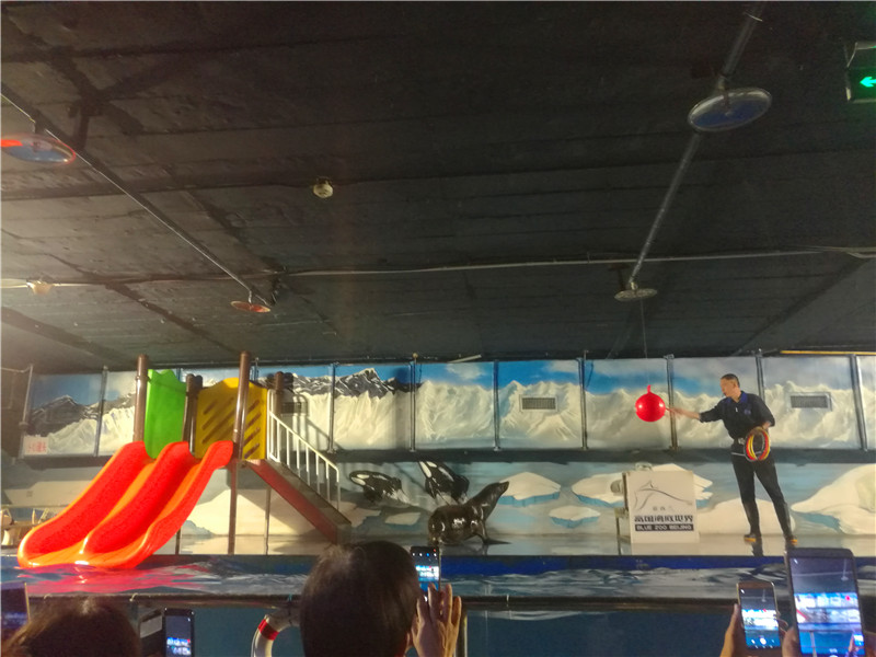 富国海底世界京津冀,游富国海底世界