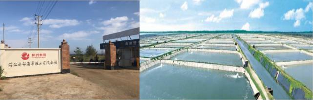 肠道菌的功效与作用,丁酸梭菌对水产动物肠道的作用