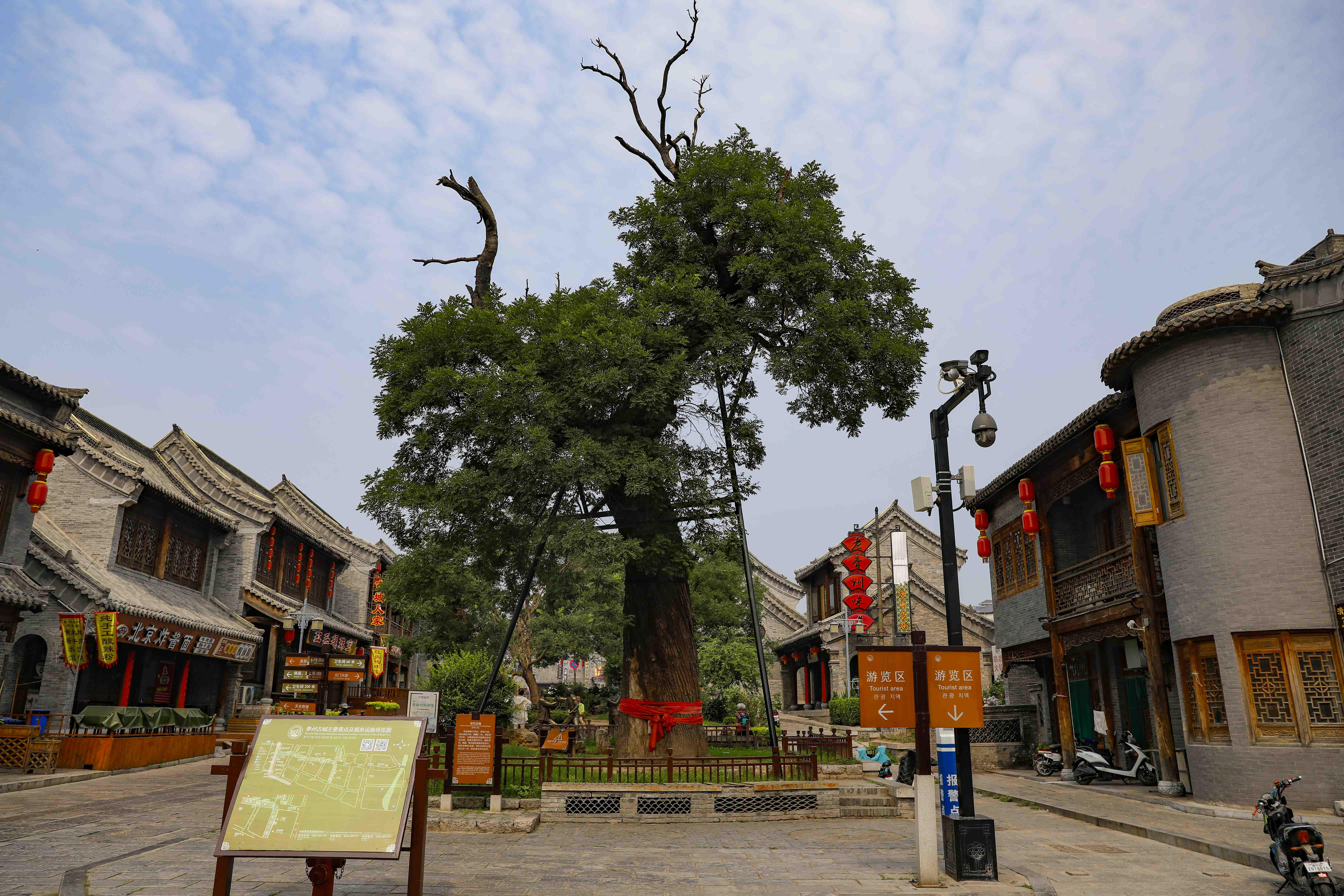 青州夏季一日游的好地方,青州周末旅游攻略