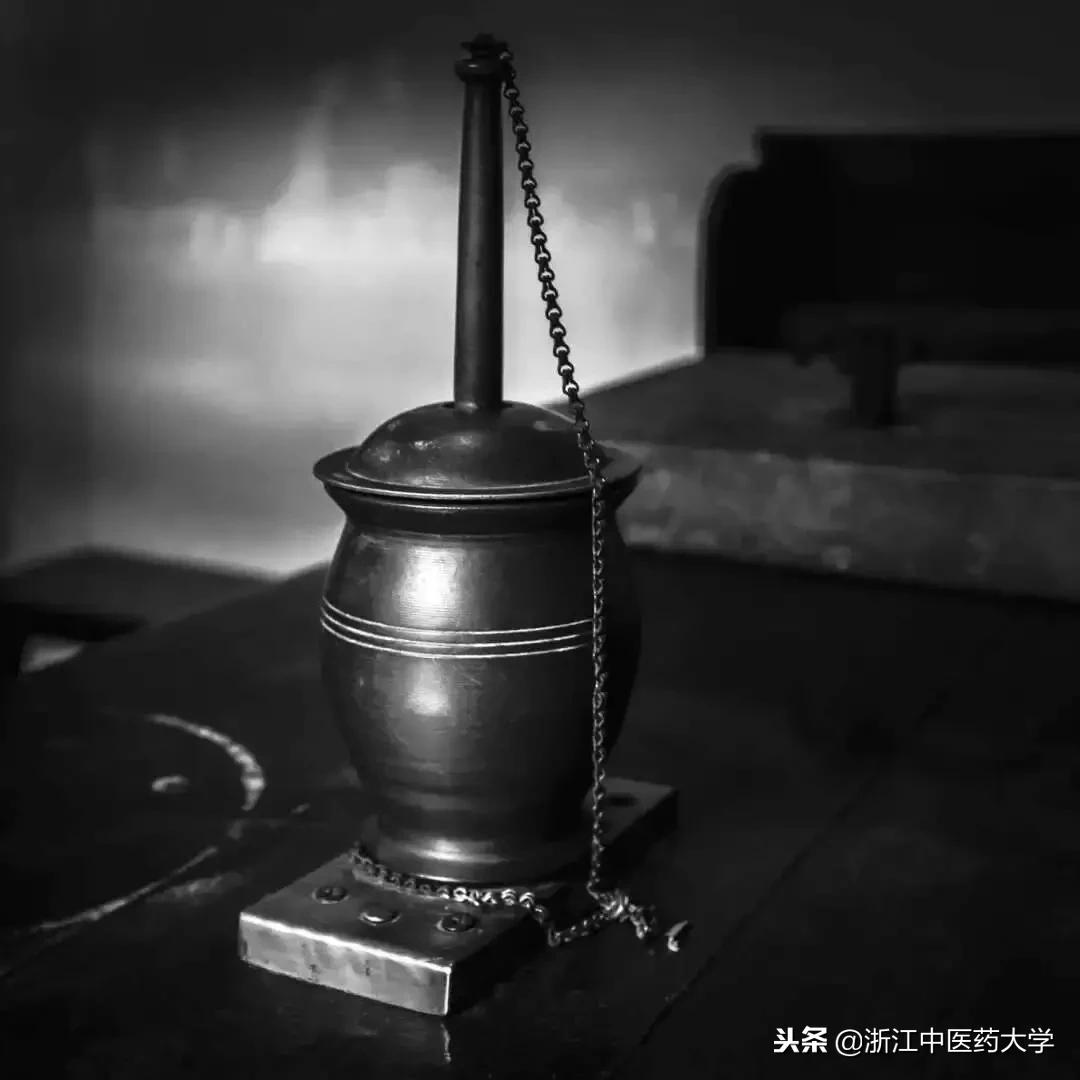 用镜头诉说中医药之美