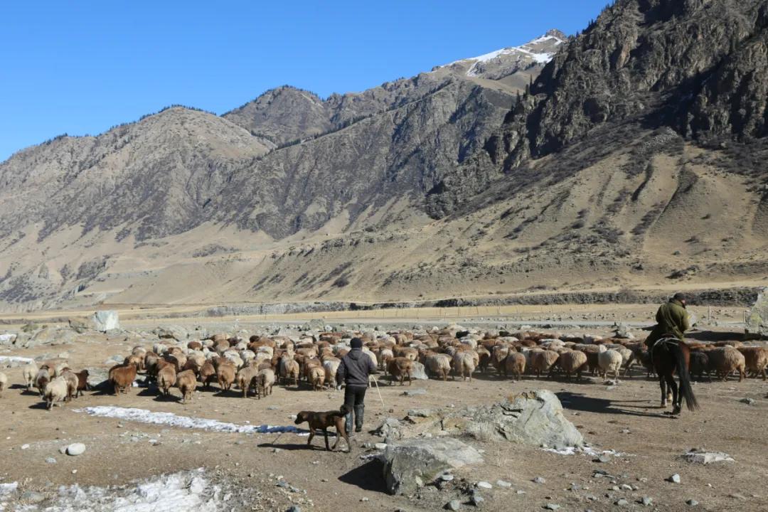 伊犁最美的50处绝色美景,伊犁最美的小众景点