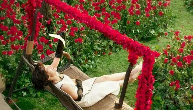 “捞女”《喜宝》未能翻盘,改编脱离了亦舒的小说精髓,爱不纯粹