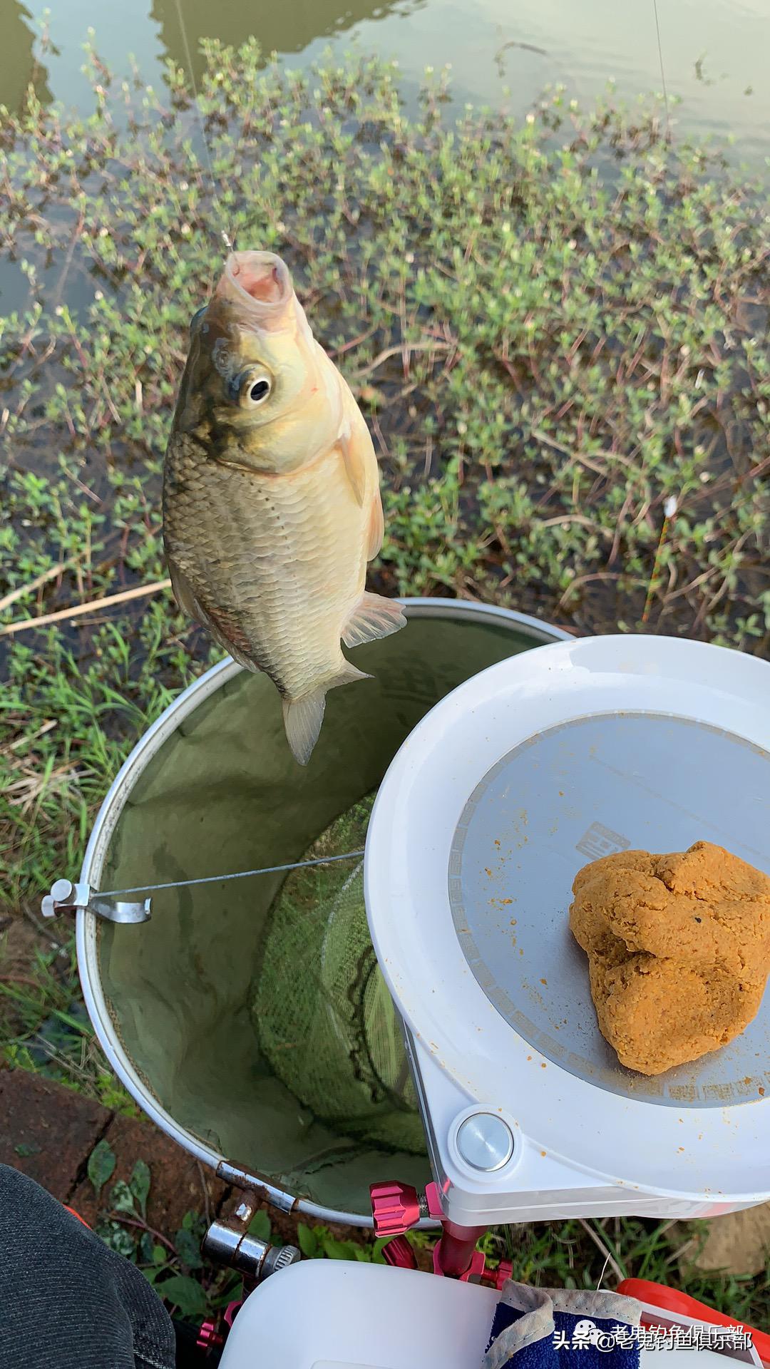用鬼飞饵钓鱼,用鬼飞路亚怎么样
