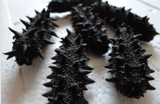 什么样的海参是比较好的海鲜,什么样的海参是好海参