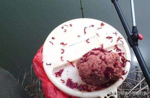 红虫伤人事件真凶,红虫事件