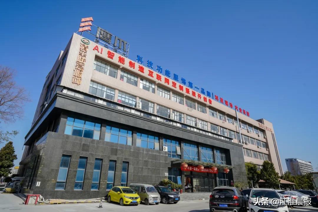 合肥四大品牌排名,合肥品牌排名