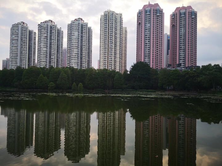 奔跑在深圳市中心,深圳洪湖公园最好的地方