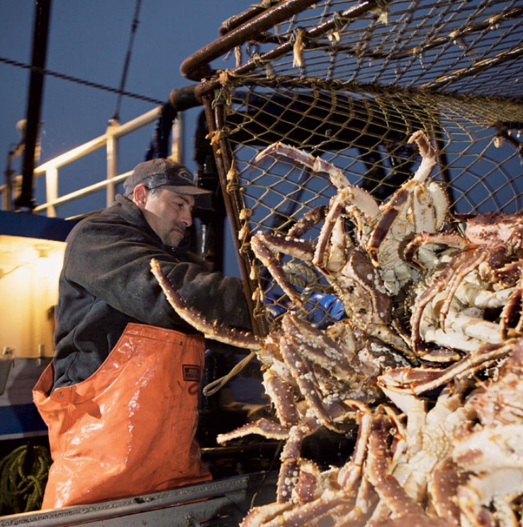 一周净赚30000美元！职业捕蟹人，每次出海都是一次搏命之旅
