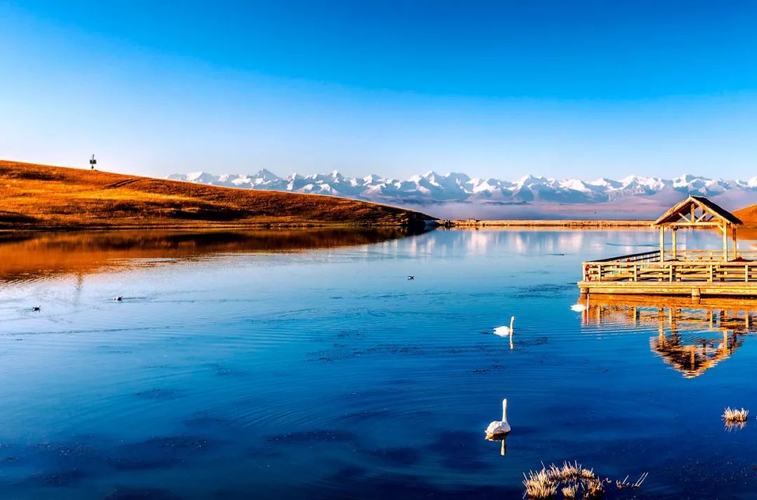 涓嶈兘鍘诲鍦扮殑鐞嗙敱,浜旂浜轰笉鑳藉幓鐤嗗唴鏃呮父